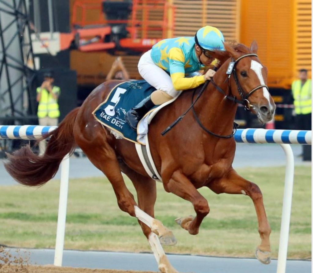 Forte scratched in Derby, Tapit Trice new favorite, Derma Sotogake poised for a&nbsp;W